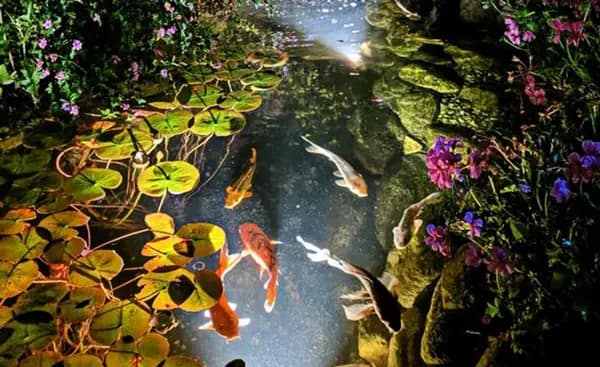 Wildlife-friendly lighting options