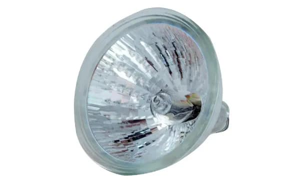 Halogen Pool Light bulb