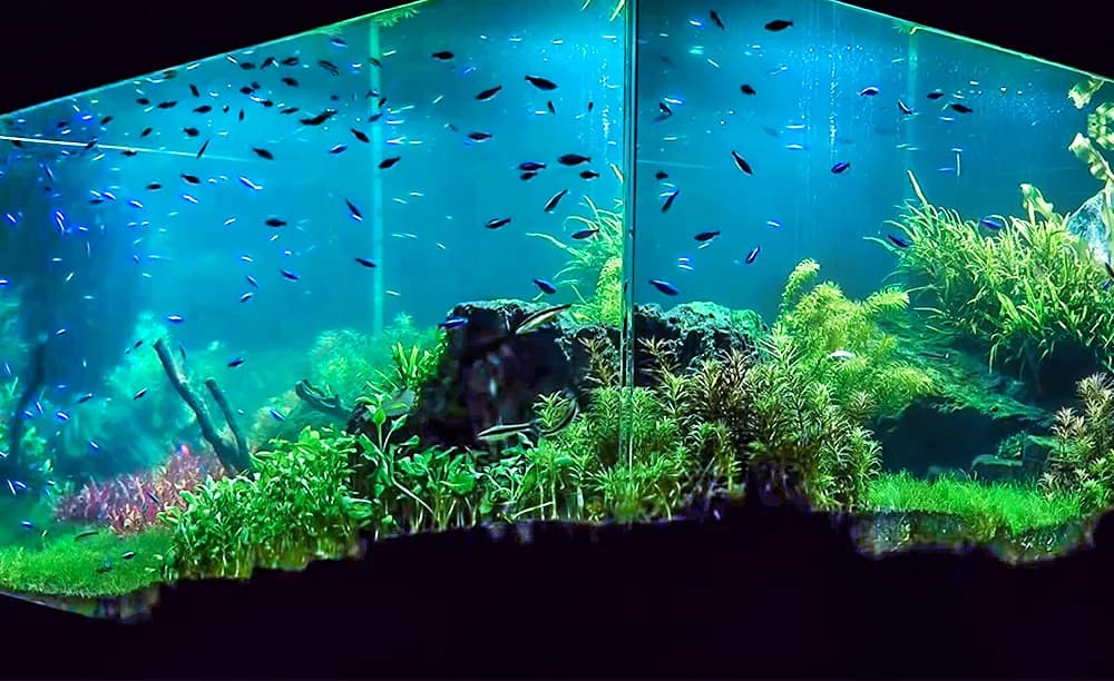 Water feature lighting