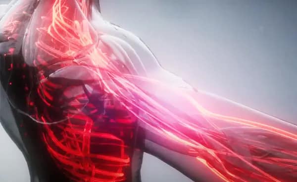 Hot water promotes blood circulation