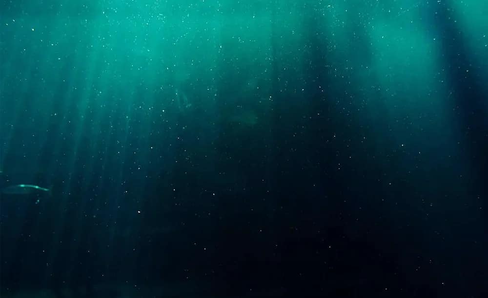 Light is absorbed by water