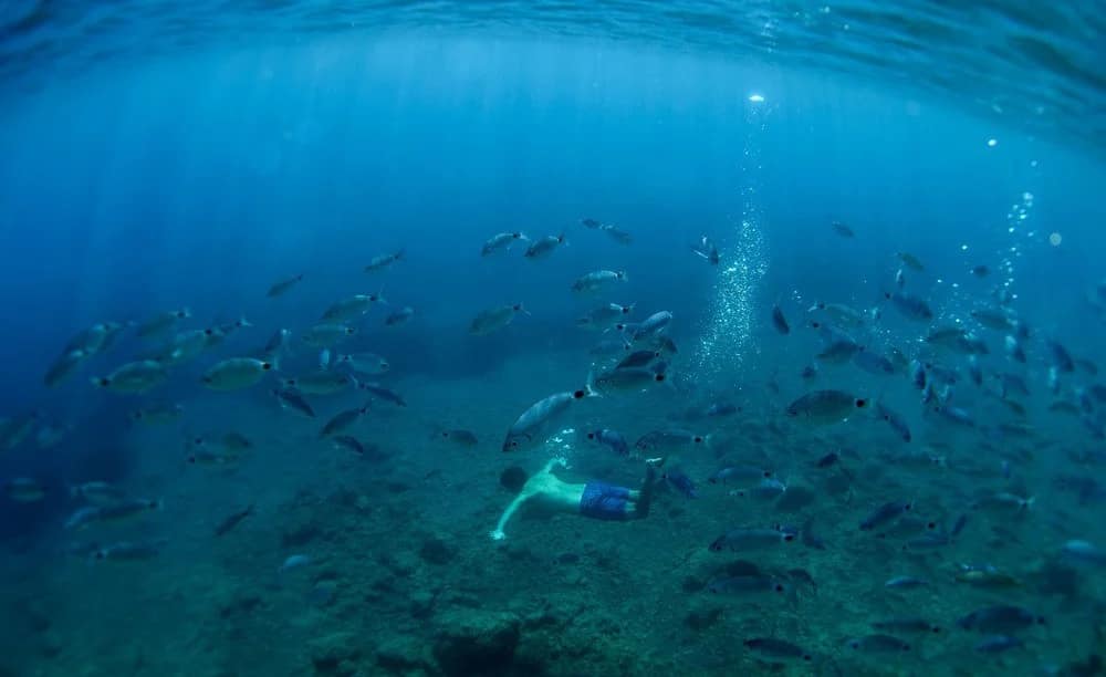 Underwater photography
