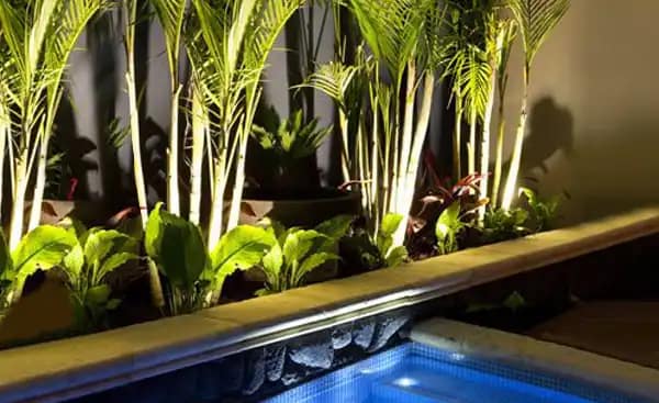 Iluminación de plantas