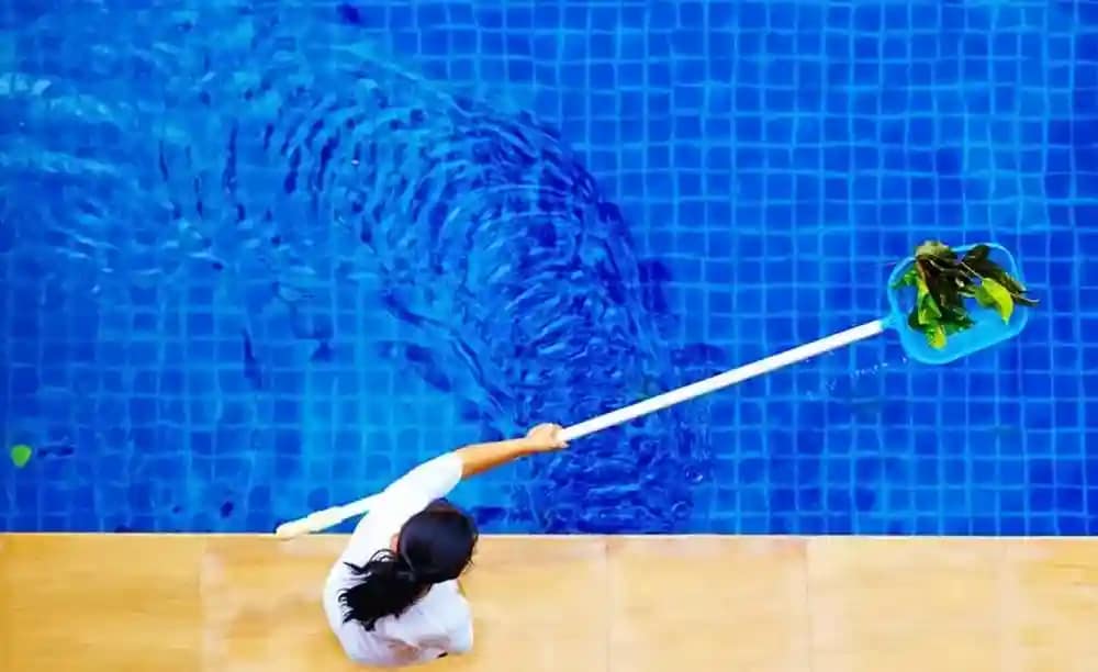 Clearing leaves from swimming pools